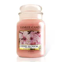 在飛比找PChome24h購物優惠-YANKEE CANDLE 香氛蠟燭-櫻花香氣 623g