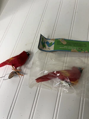2 Vtg Real Feather Cardinal Craft Red Bird Ornament Quon Quon British Hong Kong
