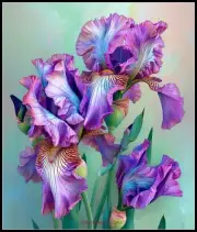 Purple Irises 3 - DIY Chart Counted Cross Stitch Patterns Needlework DMC Color