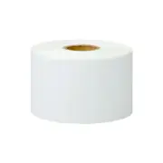 50 Rolls 1300/R 2"x1" Direct Thermal Labels 2X1 for Zebra 2824 Eltron ZP450