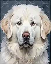 TAOPAOLAB Animal Paint by Numbers Kit for Adults - DIY White Golden Retriever Portrait Painting on Canvas 16x20In, Acrylic Paint Set, Suitable for Beginners, Pet Art for Home Decoration or Gifts