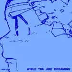 五大唱片 💽- 5/16 NEW LINK WHILE YOU ARE DREAMING 韓國進口版