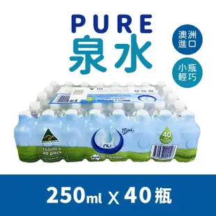 【美式賣場】Nu-Pure 泉水 2箱組(250ml*40瓶/箱)