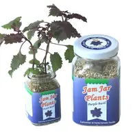 在飛比找PChome24h購物優惠-【迎光】Jam Jar Plants小植栽-紫蘇