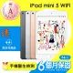 【Apple 蘋果】A級福利品 iPad mini 5(7.9吋/WiFi/64G)