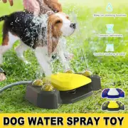 Automatic Water Feeder Dispenser with Bath Spray and Footstep Dog Toys for Pets