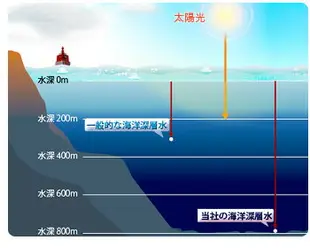 大容量超划算 日本 東京純藥 海洋深層水 天然草本海藻洗髮精 1000ml