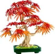 Botanicals - Japanese Red Maple Bonsai Tree - 10348