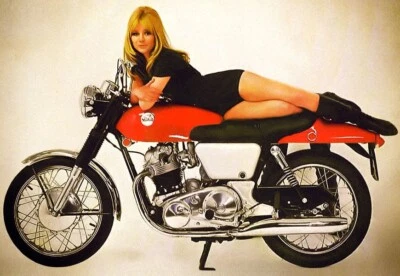 Norton Fastback Tail Section 69-70 With Ears