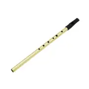 Experience the Captivating Sounds of Ireland with the D Key Feadog Tin Whistle