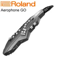 在飛比找momo購物網優惠-【ROLAND 樂蘭】入門電子薩克斯風 Aerophone 