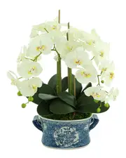 Creative Displays Orchid Arrangement In An Oval Planter