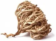 True Rose of Jericho Anastatica hierochuntica Holy Gift, Maryam’s Flower