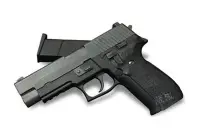 在飛比找Yahoo!奇摩拍賣優惠-WE P226 全金屬 瓦斯槍(BB槍BB彈玩具槍CO2槍短