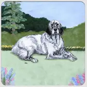 English Setter Coasters - Set of 4 Blue Belton