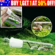 1PC Clear Snail Trap Aquarium Fish Tank Leech-Planaria Worm Plant Catcher Box