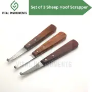Set of 3 Sheep Hoof Scrapper 6" Small Wooden Handle High Quality Stainless Steel