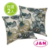 在飛比找樂天市場購物網優惠-【J&N】寫意繪畫風抱枕 50x50cm (2入)