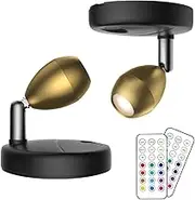 2Pack Battery Operated Spotlight,LED Wall Picture Light with Remote,Wireless Picture Lights for Wall,Timer&Dimmable Accent Light,Display Art Light for Dartboard Painting Artwork Gallery Portrait