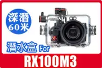 在飛比找Yahoo!奇摩拍賣優惠-現貨可自取 全新美國 Ikelite Sony RX100M