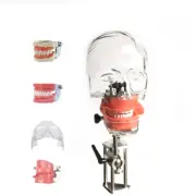 New Dental Simulator Nissin Manikin Phantom Head Model With Bench Mount Teaching