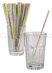 ISABEL FLORAL PINK GREEN ROBERT GORDON PARTY PAPER STRAWS FOR CAKE POPS 24PCS
