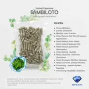 600mgx200 Capsules Sambiloto Andrographis Paniculata Lowering Cholesterol