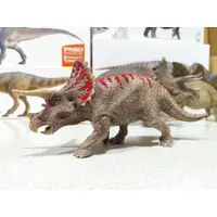 在飛比找蝦皮購物優惠-史萊奇 Schleich 三角龍 恐龍模型 恐龍玩具