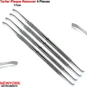 Dental Tartar Calculus Plaque Removers Scaler Teeth Cleaning Scrapers Whitening