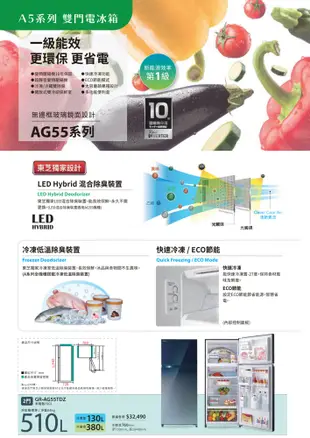 TOSHIBA東芝510L雙門變頻電冰箱 GR-AG55TDZ~含拆箱定位+舊機回收 (5.6折)