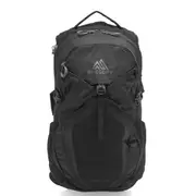 Gregory Nano Backpack - 20L
