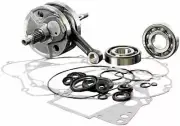 KTM 125 SX ( 2016 - 2022 ) Complete Crank Crankshaft & Engine Rebuild Kit