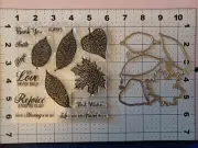 Universal Thin Metal Die Cut Tool & Stamp Set Nature Lace Leaf Maple Elm Birch