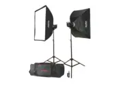 Godox MS300-F 2-Monolight Kit