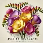 Freesia 2 Oz Fragrance Oil Diffuser FREE SHIPPING