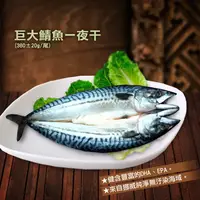 在飛比找鮮拾優惠-【築地一番鮮】 挪威當季鯖魚一夜干20尾(380g±10%/