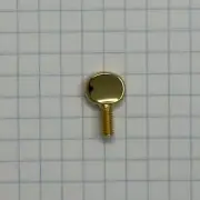 Lyre Screw, Selmer-Paris 52AXOS Alto Sax, Lacquer