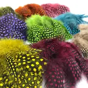 STRUNG GUINEA FOWL FEATHERS - Hareline Fly Tying, Crafts, Jewelry Making Earring