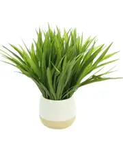 Creative Displays Green Grass Bush