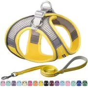 Easy Walk Dog Harness and Leash Set - Pet Supply No Pull, Step in Adjustable ...