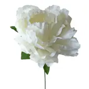 Artificial Silk Large Single Head Peony Flower Stem - White