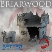 House 1, Ruins of Briarwood, Fantasy, Historical, tabletop wargame terrain, RPG