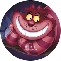 在飛比找蝦皮購物優惠-DISNEY Alice in Wonderland 迪士尼