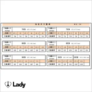 Lady 燦亮星影系列 機能 調整型 B-G 內衣 (神秘紫)