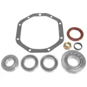 Diff Bearing Rebuild Kit for Falcon BA BF Ute 8cyl V8 5.4L Barra 260 220 M86