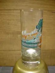 HARLEY DAVIDSON SHOT GLASS FROM MYRTLE BEACH HARLEY, SOUTH CAROLINA