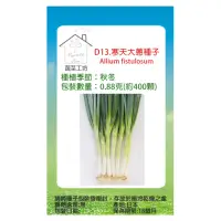 在飛比找momo購物網優惠-【蔬菜工坊】D13.寒天大蔥種子0.88克(約400顆)