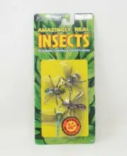 Great Explorations Amazingly Real Insects