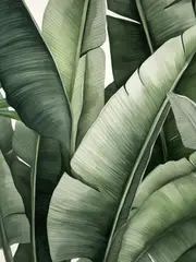 [Namly Design] Poster - Tropical Leaves