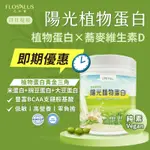 【即期品】花井香 日日超能陽光 植物蛋白 膳食纖維粉 米蛋白+豌豆蛋白+大豆蛋白 胺基酸 增加飽足感 250G